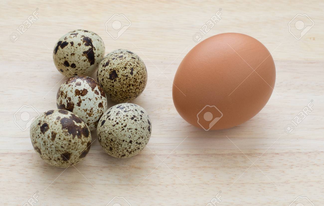 How Many Quail Eggs Does It Take to Equal a Chicken Egg?