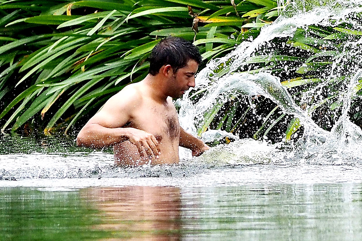 Why Shouldn’T You Jump in Water When Attacked by Bees?