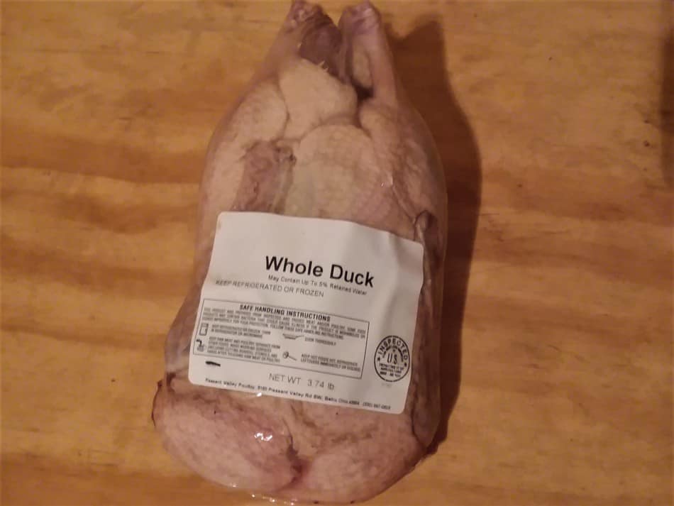 What is the Fastest Growing Duck?